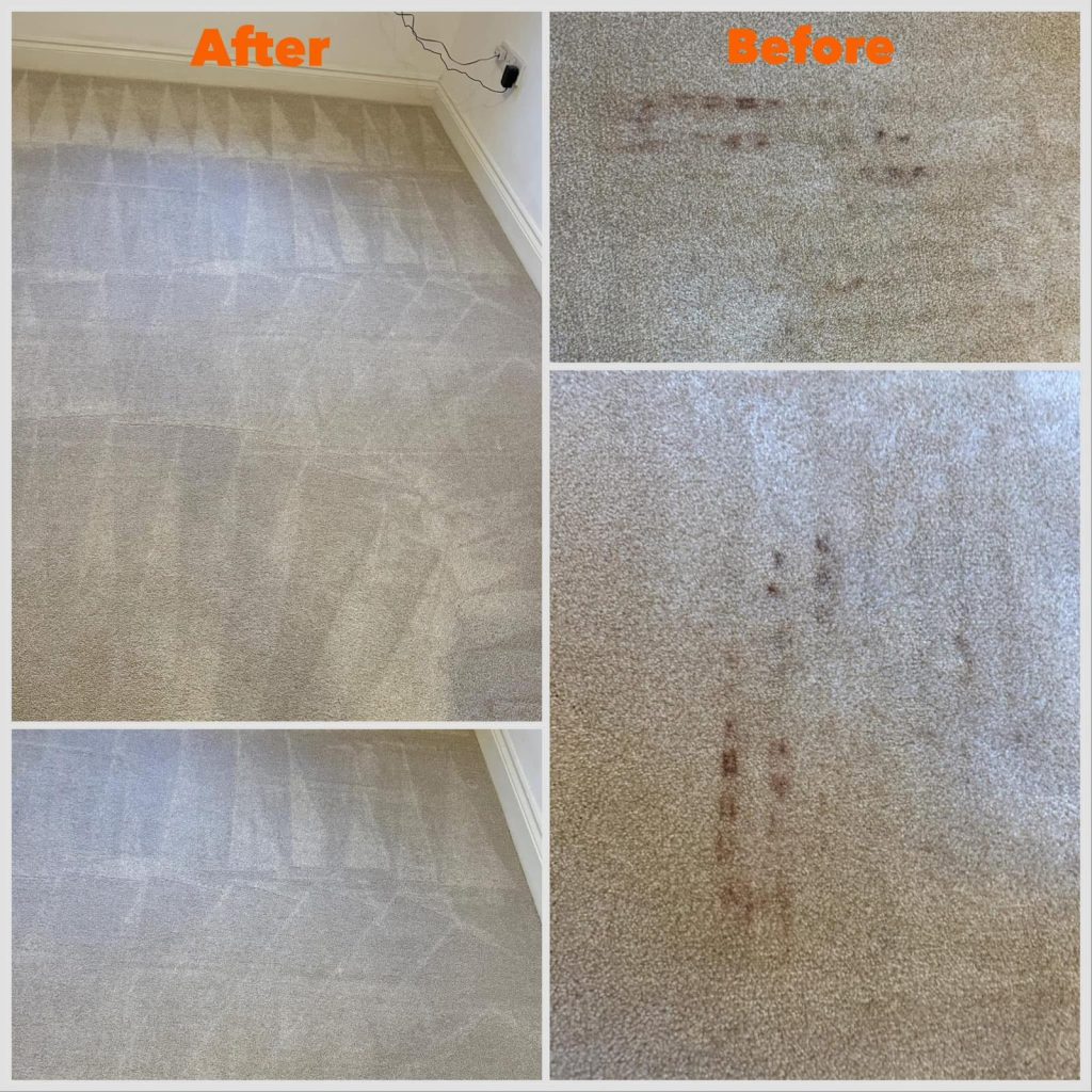 Carpet Cleaning